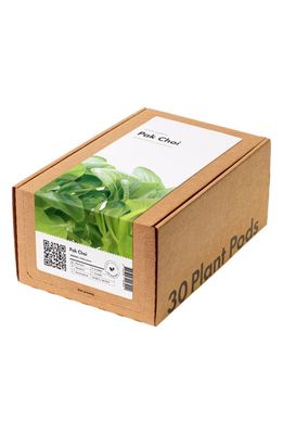Click & Grow Smart Garden 30-Pack Lettuce Plant Pods in Pak Choi