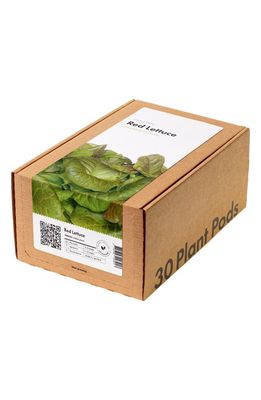 Click & Grow Smart Garden 30-Pack Lettuce Plant Pods in Red Lettuce