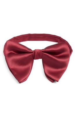 CLIFTON WILSON Red Silk Butterfly Bow Tie in Dark Red