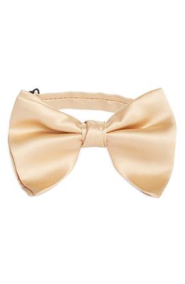 CLIFTON WILSON Silk Butterfly Bow Tie in Champagne