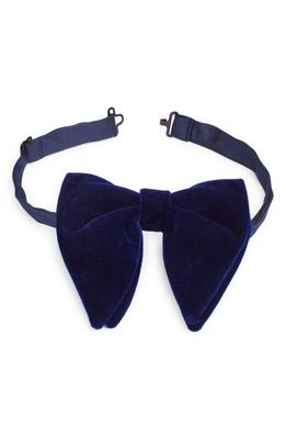 CLIFTON WILSON Velvet Silk Butterfly Bow Tie in Blue 