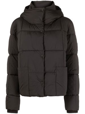 Closed quilted short jacket - Black