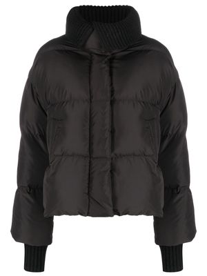 Closed ribbed-collar puffer jacket - Black
