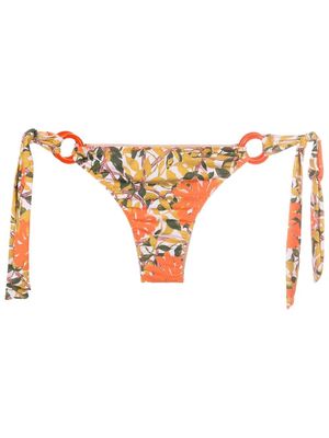 Clube Bossa floral-print bikini bottoms - Orange