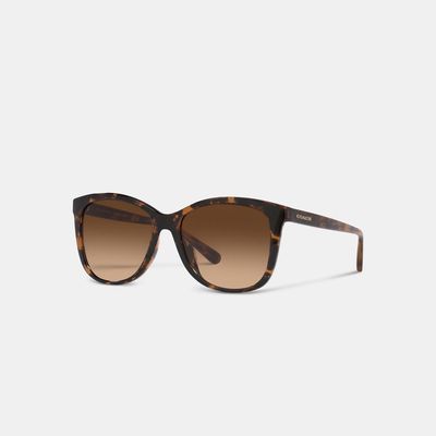 Coach Outlet Geometric Square Sunglasses - Brown