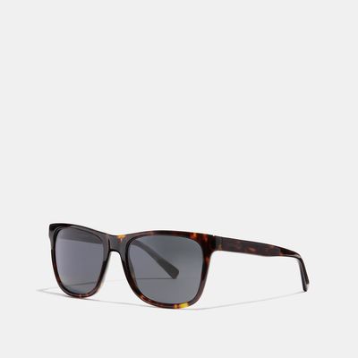 Coach Outlet Leroy Sunglasses - Brown