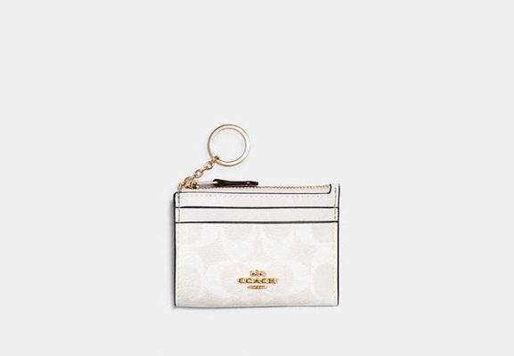 Coach Outlet Mini Skinny Id Case In Signature Canvas - Qpt