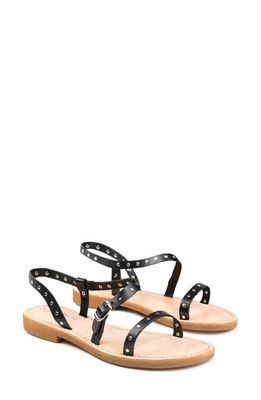 Cocobelle Willow Studded Strappy Sandal in Black