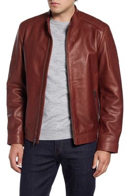 Cole Haan Leather Moto Jacket in Sandalwood