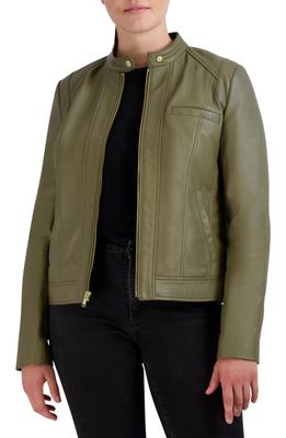 Cole Haan Moto Leather Jacket in Sage