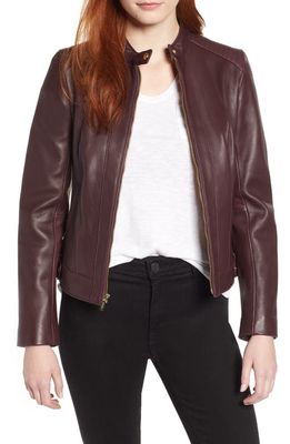 Cole Haan Signature Cole Haan Leather Moto Jacket in Chianti