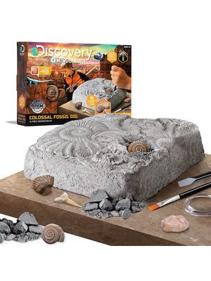 Colossal Fossil Dig Kit