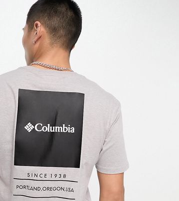 Columbia Barton Springs t-shirt in gray Exclusive at ASOS