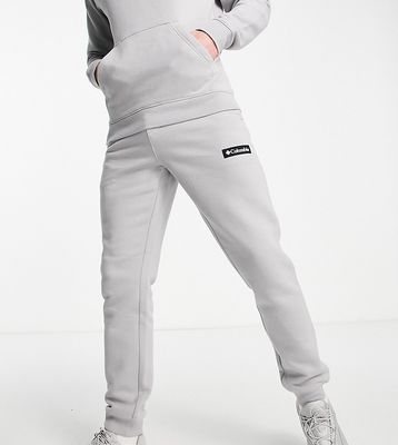 Columbia Cliff Glide sweatpants in gray Exclusive at ASOS