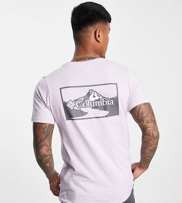 Columbia Rapid Ridge II back print T-shirt in lilac Exclusive to ASOS-Purple