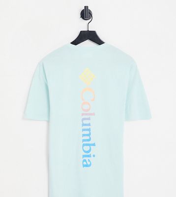 Columbia Unionville back print T-shirt in blue Exclusive to ASOS