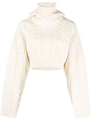 Comme Des Garçons Noir Kei Ninomiya cable-knit cropped hoodie - Neutrals