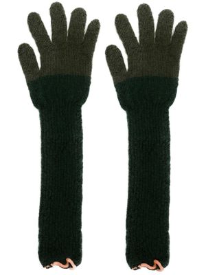 Comme des Garçons TAO two-tone ribbed gloves - Green