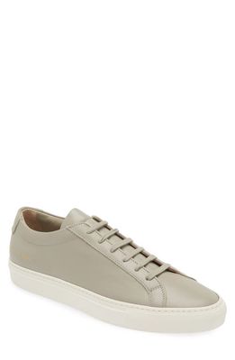 Common Projects Original Achilles Sneaker in Warm Grey 3874