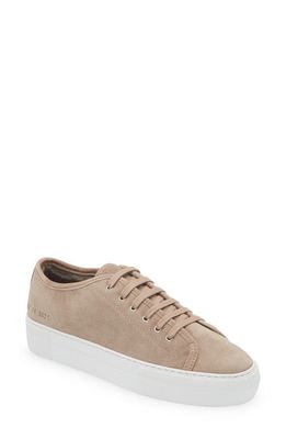 Common Projects Tournament Genuine Shearling Lined Low Top Sneaker in Brown