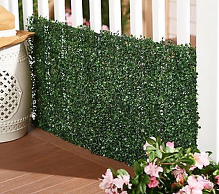 Compass Home Collapsible Faux Boxwood Square Hedge