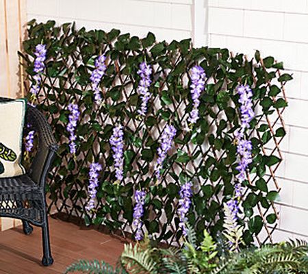 Compass Home Expandable Wisteria & Leave Willow Fence