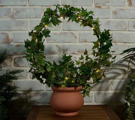 Compass Home Illuminated Grapevine Wreath in Planter