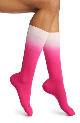 COMRAD Ombré Compression Knee Highs in Berry