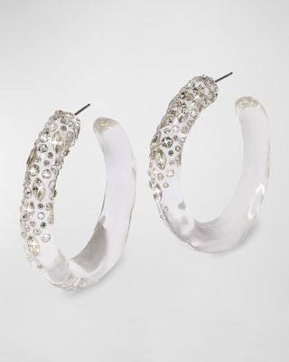 Confetti Crystal Lucite Hoop Earrings