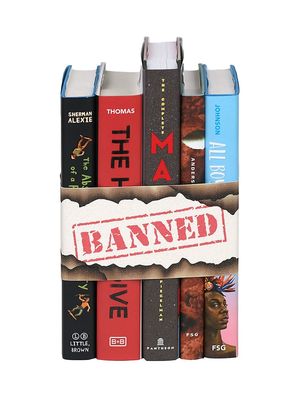 Contemporary Banned Books - Blue