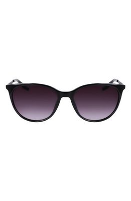 Converse Elevate 55mm Cat Eye Sunglasses in Black