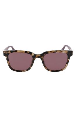 Converse Rise Up 51mm Sunglasses in Khaki Tortoise