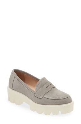 Cordani Audrey Platform Penny Loafer in Stone Suede