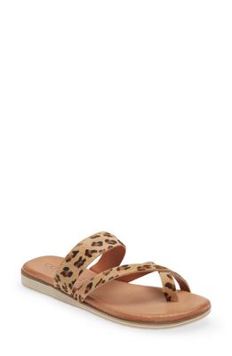 Cordani Fia Genuine Calf Hair Slide Sandal in Leopard Print