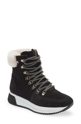 Cordani Layton Genuine Shearling Lined Boot in Black Suede