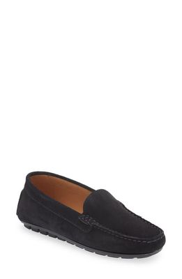 Cordani Parma Driver Loafer in Navy Suede