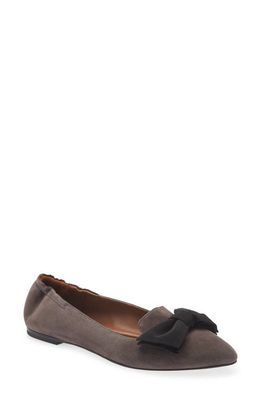 Cordani Vienna Pointed Toe Flat in Topo Suede