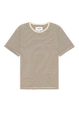 Corridor Stripe T-shirt in Cream