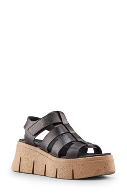 Cougar Antony Platform Sandal in Black 