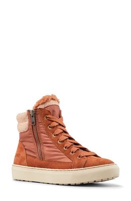 Cougar Dax Waterproof High Top Sneaker with Faux Shearling Trim in Tobacco