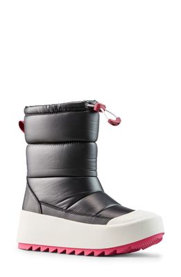 Cougar Meteor Waterproof Insulated Boot in Black Matte