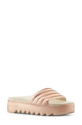 Cougar Pool Party Platform Slide Sandal in Rose Metallic 