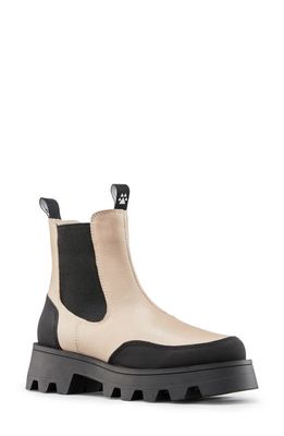 Cougar Shani Waterproof Chelsea Boot in Cream
