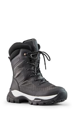 Cougar Ultima Waterproof Lace-Up Boot in Black