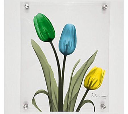 Courtside Market Jeweled Tulip Trio I 8x10 Acry lic Wall Art