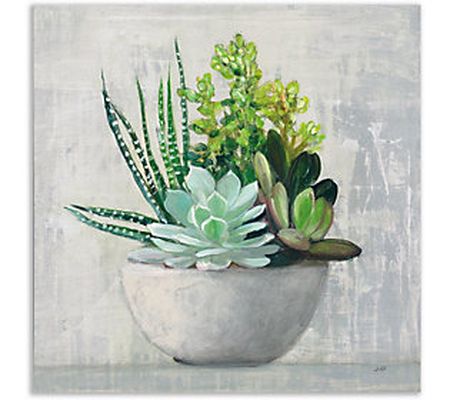 Courtside Market Succulent Still Life II 24x24 Canvas Wall Art