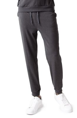 Cozy Earth Ultrasoft Jogger Sweatpants in Charcoal