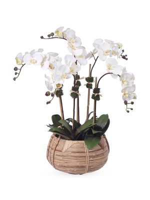 Cream Phalaenopsis Orchids Cane Basket - Cream - Cream