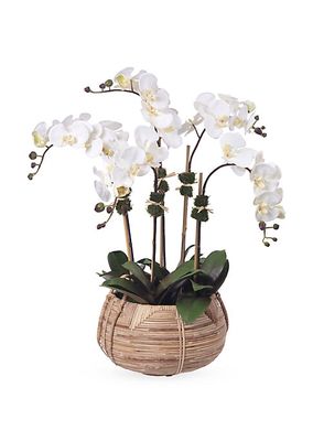 Cream Phalaenopsis Orchids Cane Basket