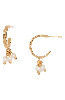 Crisobela Jewelry Cultured Freshwater Pearl Mini Hoop Earrings in Gold